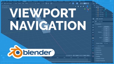 Viewport Navigation